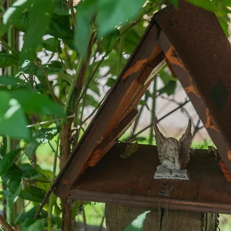 Voelgykapu Vendeghaz * Monostorapáti